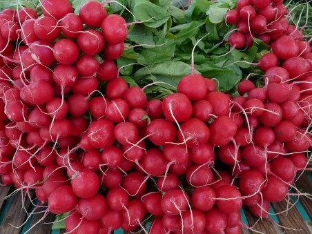 FruitVeB: a fólia alatt termelt magyar zöldség megbízhatóbb az importnál 