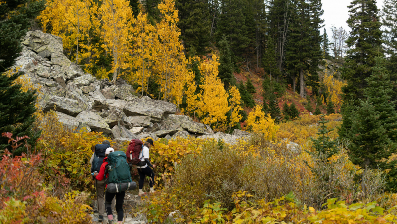 Eredményes évet zárt a Columbia első Hike Society programja